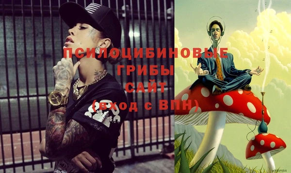 твердый Балахна
