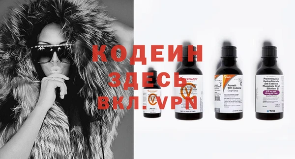 ГАЛЛЮЦИНОГЕННЫЕ ГРИБЫ Покачи