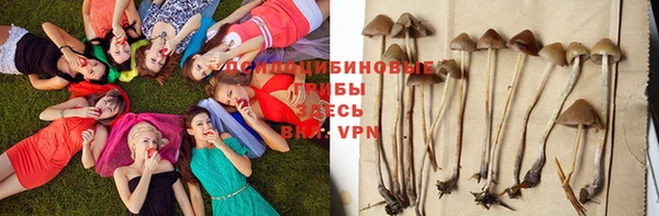 гашик Баксан