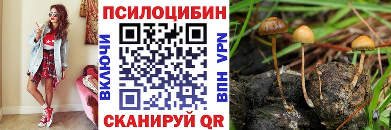 Галлюциногенные грибы мицелий Кстово
